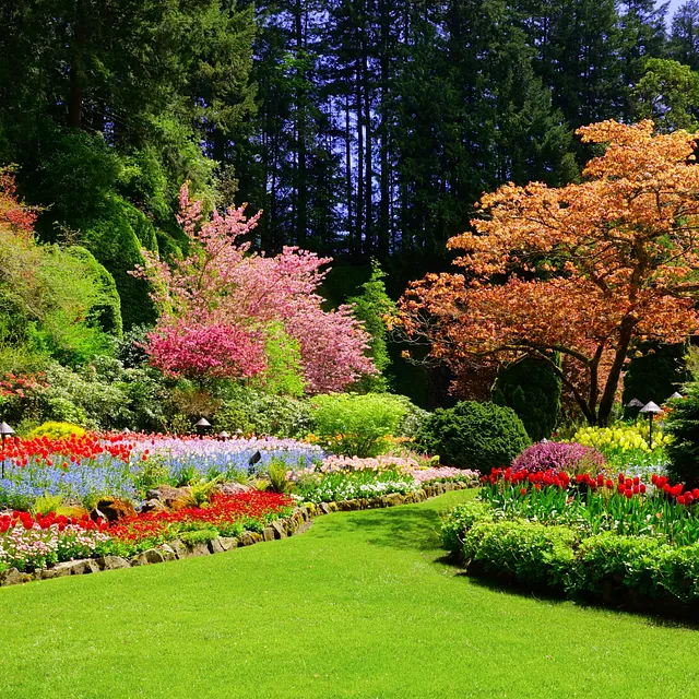 Jardineria Sebas jardinería
