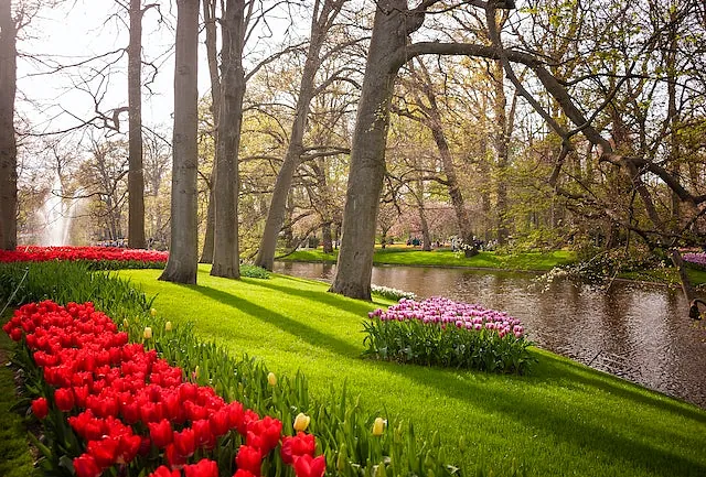Jardineria Sebas Paisajismo 