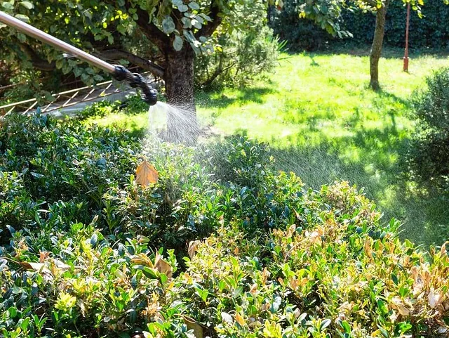 Jardineria Sebas mantenimiento de jardines