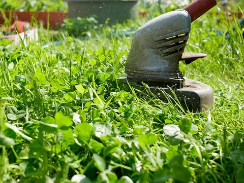 Jardineria Sebas Servicio Jardinería