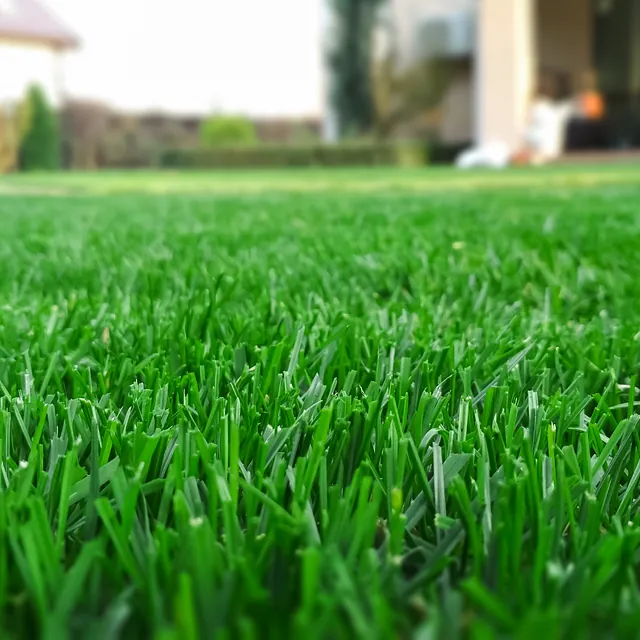 Jardineria Sebas jardinería